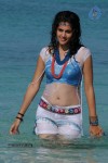 Tapsee Hot Gallery - 41 of 66