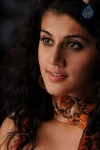 Tapsee Hot Gallery - 42 of 66