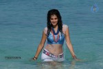 Tapsee Hot Gallery - 43 of 66