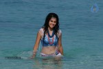 Tapsee Hot Gallery - 52 of 66