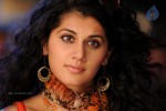 Tapsee Hot Gallery - 54 of 66