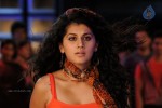 Tapsee Hot Gallery - 63 of 66