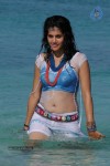 Tapsee Hot Gallery - 65 of 66