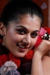 Tapsee Hot Stills - 30 of 112