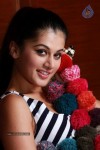 Tapsee Hot Stills - 85 of 112