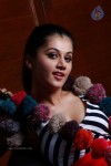 Tapsee Hot Stills - 94 of 112