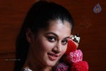 Tapsee Hot Stills - 104 of 112