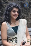Tapsee Latest Gallery - 47 of 64