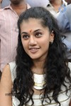 Tapsee Latest Photos - 17 of 65