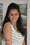 Tapsee Latest Photos - 63 of 65