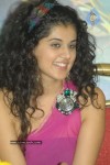 Tapsee Latest Pics - 35 of 49