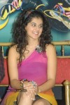 Tapsee Latest Pics - 43 of 49