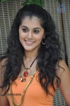 Tapsee Latest Stills - 44 of 52