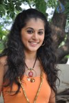 Tapsee Latest Stills - 52 of 52