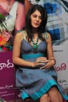Tapsee New Gallery - 30 of 41