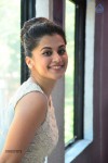 Tapsee New Photos - 20 of 27