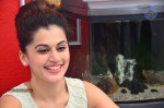 Tapsee New Photos - 25 of 27