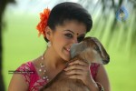 Tapsee Photos - 83 of 98