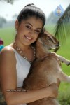 Tapsee Photos - 52 of 98