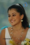Tapsee Photos - 99 of 98