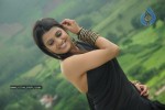 Tashu Kaushik Latest Stills - 67 of 98