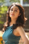 tridha-choudhury-stills