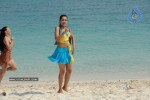 trisha-new-gallery