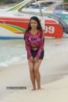 trisha-new-gallery