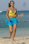 trisha-new-gallery
