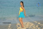 trisha-new-gallery