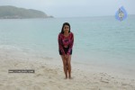 trisha-new-gallery