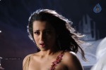 trisha-new-hot-stills