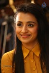 trisha-photos