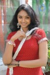 vahida-photo-stills
