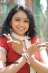 vahida-photo-stills