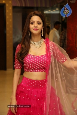 Vedhika New Images - 17 of 21