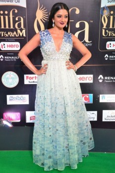 Vimala Raman at IIFA 2017 - 1 of 42