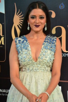 Vimala Raman at IIFA 2017 - 21 of 42