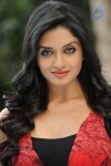 Vimala Raman High Resolution Photos - 22 of 70