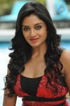 Vimala Raman High Resolution Photos - 64 of 70