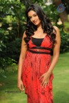 Vimala Raman High Resolution Photos - 69 of 70