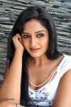 Vimala Raman New Hot Photos - 24 of 119