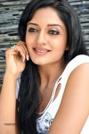 Vimala Raman New Hot Photos - 38 of 119