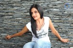 Vimala Raman New Hot Photos - 41 of 119