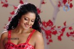 vimala-raman-stills-in-ranga-the-donga-movie