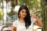 yamini-bhaskar-new-photos