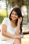 yamini-bhaskar-new-photos