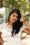 Yamini Bhaskar New Photos - 52 of 82