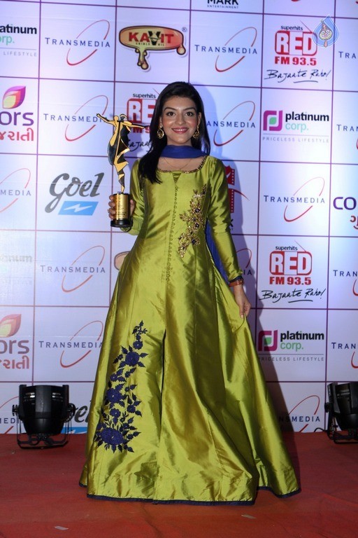 16th Transmedia Gujarati Screen and Stage Awards - 3 / 38 photos