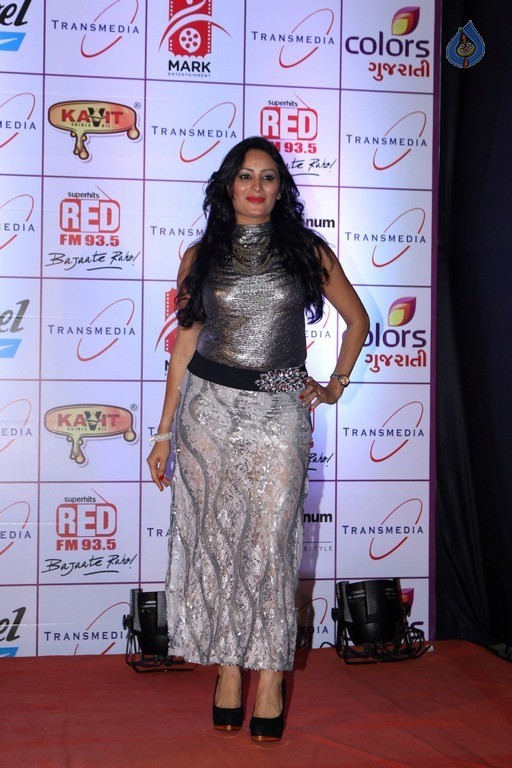 16th Transmedia Gujarati Screen and Stage Awards - 19 / 38 photos